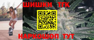 спайс Гагарин