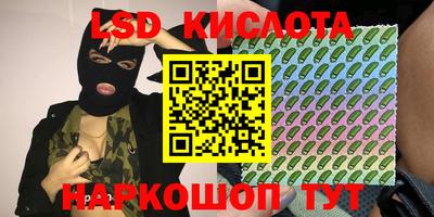 a pvp Гатчина