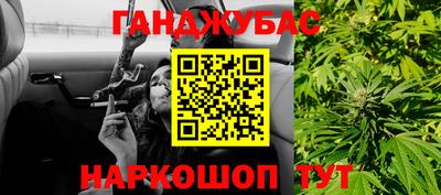 дмт Гай