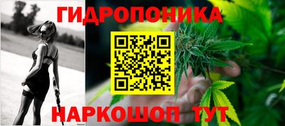 a pvp Гатчина