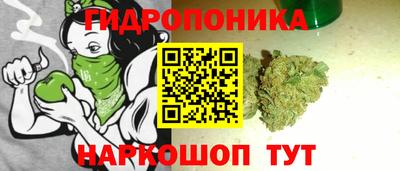 дмт Гай