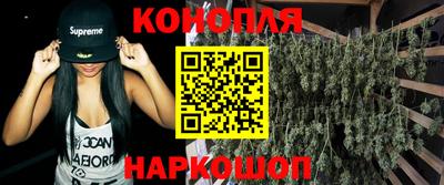 спайс Гагарин